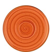 Aura Terracotta Gourmet Kombiuntertasse 19cm  (VPE 12 St.)
