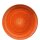 Aura Terracotta Gourmet Teller flach 25cm  (VPE 12 St.)