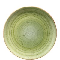 Aura Therapy Gourmet Teller flach 30cm  (VPE 6 St.)