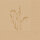 Meadow Natural - unbleached