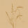 Bio-Dunisoft-Servietten 20 x 20 cm, 1/4-Falz, Motive (VPE 2880 St.)