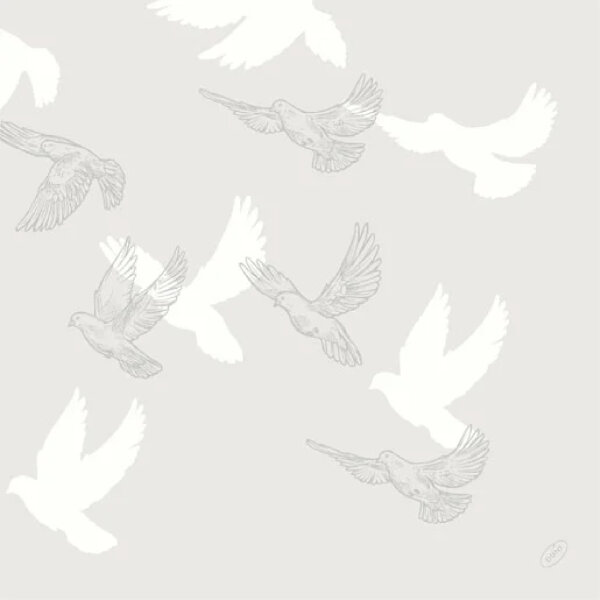 Soft Wings